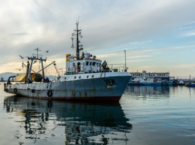 怎么下载tiktok国际版