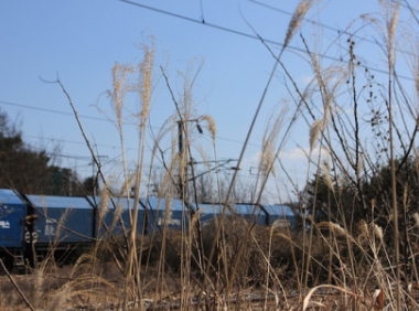 开设TikTok账户,需确保创作内容篇幅适中。