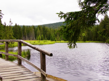 tiktok账号注册流程