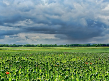 现在亚马逊很难做了