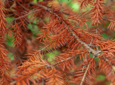 facebook广告投放技巧