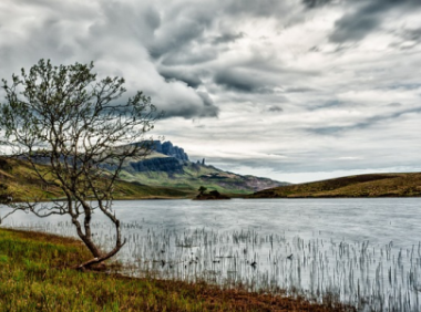 跨境电商平台Shopee