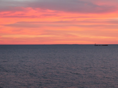 Lazada搜索不到店铺怎么回事