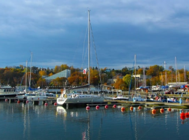 lazada测评怎么操作