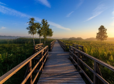 美国外观专利的要求(美国外观专利要有几处不同)