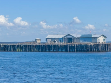 美国外观专利代理好么(美国外观专利代理好么现在)