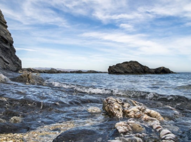 江苏直营海外仓价格多少