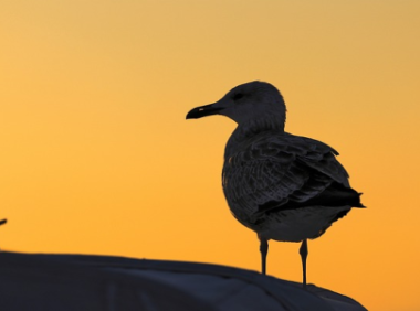 海淀区海外仓系统多少钱