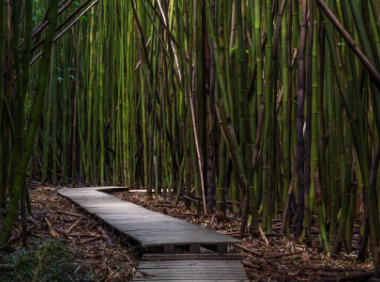 海外仓因为什么受欢迎