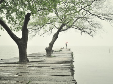 美国如何查外观专利(美国如何查外观专利申请进度)